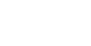 Logo bianco